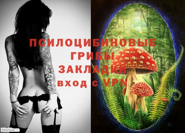 a pvp Балабаново